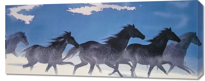 Obraz 100x40cm Wolność i Swoboda zdjęcie 1