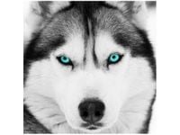 50X50CM GŁĘBOKIE SPOJRZENIE OBRAZ