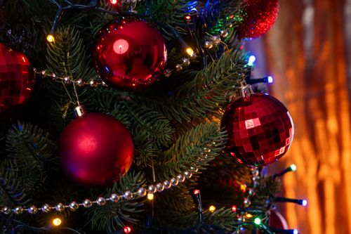 Choinka Jodła Szlachetna 180cm na Arena.pl