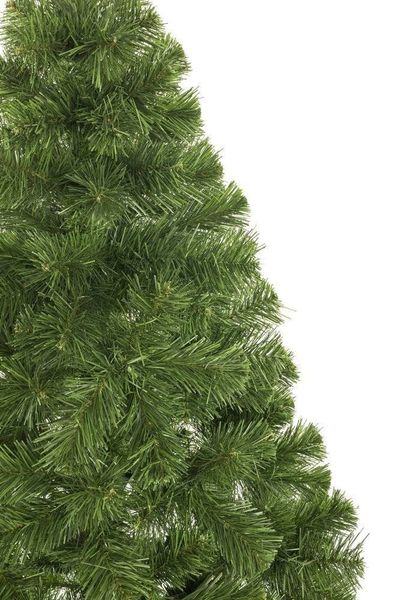 Choinka 150cm naturalna Sosna zdjęcie 4