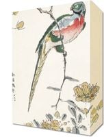 Obraz 20x30cm Macaw, Kashu Japoński Vintage do Salonu