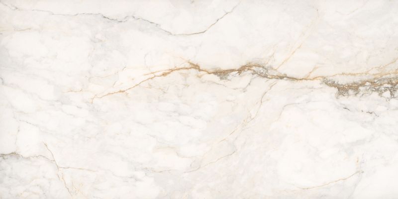 Egen Płytka ścienno-podłogowa Eagle 60x120cm Połysk (0,72) zdjęcie 1