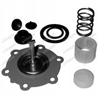 Zestaw Naprawczy Pompki Paliwa Claas / Renault