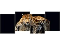 OBRAZ DZIKI KOT LAMPART