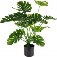 SZTUCZNA Roślina MONSTERA DELICIOSA 50-75 cm DUŻA REALISTYCZNA XL