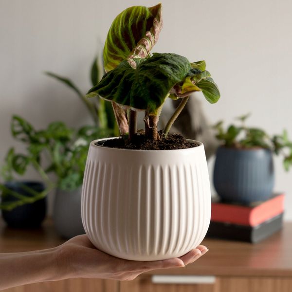 KADAX Doniczka Ceramiczna Osłonka 14cm Biała zdjęcie 2