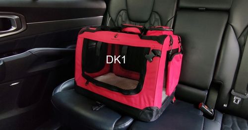 Transporter dla psa kota torba transportowa DK1-01 czerwony na Arena.pl