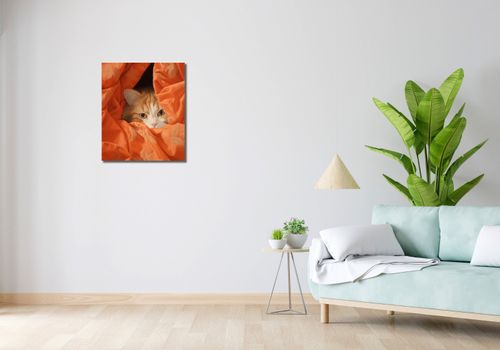 Obraz 50x60cm Ukryty Kot na Arena.pl