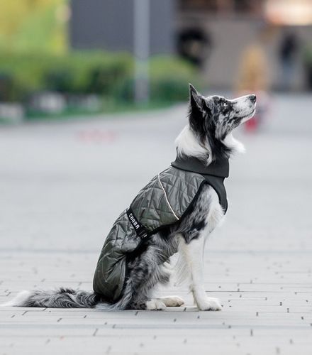 Chaba Kubrak Regulowany Chic 3XL khaki na Arena.pl