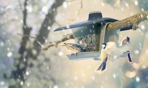 Karmnik dla ptaków Birdyfeed Double antracytowy na Arena.pl