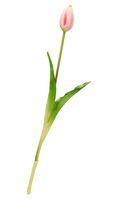 TULIPANY SILIKONOWE jak ŻYWE 38 cm TULIPAN SILIKONOWY RÓŻOWY JASNY