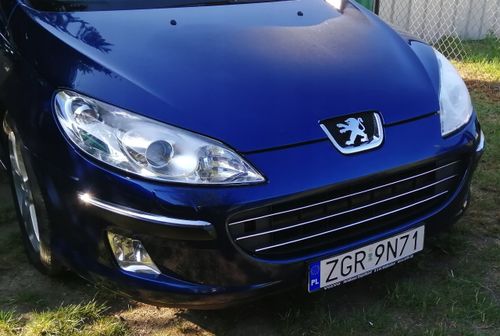 Peugeot 407 - Listwy CHROM na GRILL atrapa 3 szt Tuning Chromowane na Arena.pl