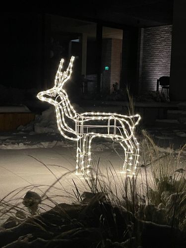 RENIFER ŚWIECĄCY LED DUŻY Z RUCHOMĄ GŁOWĄ BIAŁY CIEPŁY IP44 ZEWNĘTRZNY na Arena.pl