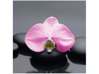 50X50CM RÓŻOWY STORCZYK OBRAZ