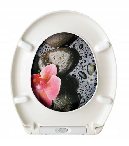 DESKA WC KLOZETOWA SEDESOWA WOLNOOPADAJĄCA KOLOROWA KAMIEŃ STORCZYK ESTIVA na Arena.pl