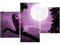 product-compare-58699592