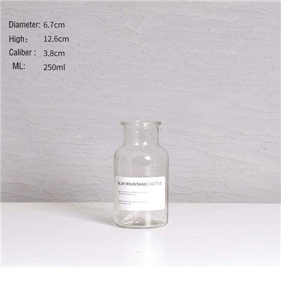 Wazon W  Stylu Skandynawskim  Dekoracja Nowoczesnego Wnętrza Transparentny A-S na Arena.pl