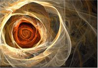 100 70CM OBRAZ PŁÓTNO RÓŻA KTALNA PŁÓTNO RAMA