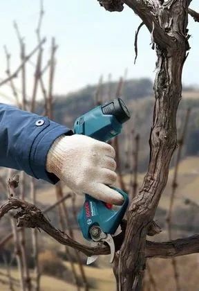 BOSCH SEKATOR 12V 25mm PRO PRUNER SOLO zdjęcie 5