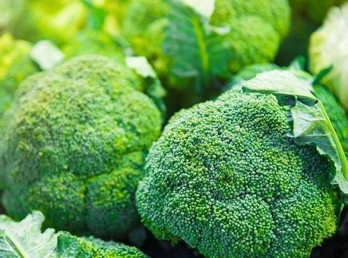 BROKUŁ NASIONA brokuła CALABRESE NATALINO PLENNY ŹRÓDŁO WITAMIN ŁATWA na Arena.pl