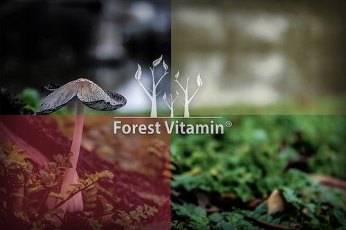 Fosfatydyloseryna 100mg 100kaps PAMIĘĆ NAUKA KONCENTRACJA NOOTROPIK na Arena.pl