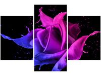 90X60CM OBRAZ RÓŻA FARB JAKUB BANAŚ TRZY OBRAZY