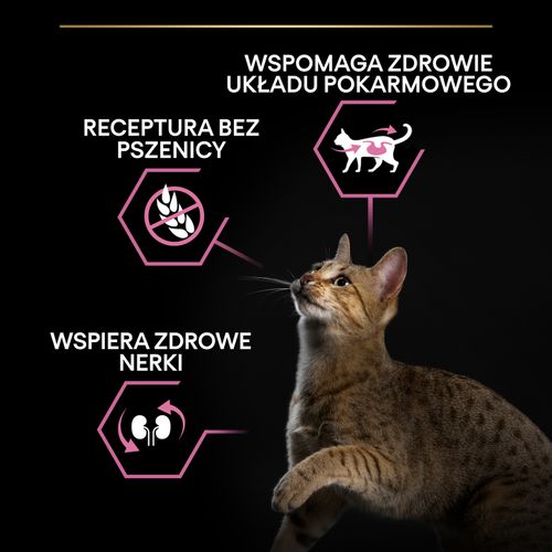 purina pro plan delicate turkey&rice 400g na Arena.pl