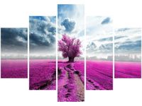 OBRAZ FIELD&TREE POLE DRZEWO KOLORY