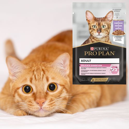 karma mokra dla kota purina pro plan z indykiem w sosie 85 g wrażliwe koty na Arena.pl