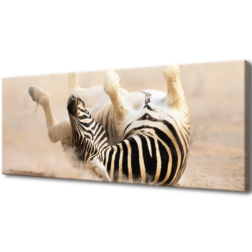 Foto Obraz 100X40 Zebra na Arena.pl
