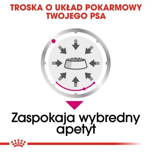 Karma dla wybrednych psów dorosłych wszystkich ras Royal Canin Pasztet 85g na Arena.pl
