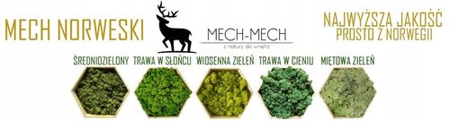 500g MECH CHROBOTEK reniferowy zielony NORWESKI na Arena.pl