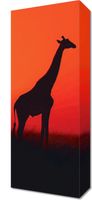 Obraz 20x50cm Żyrafa w Czerni