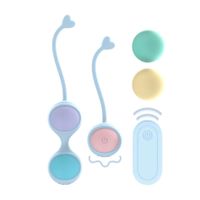 Vibrating And 5 Weight Interchangeable Kegel Kit With Remote Control -