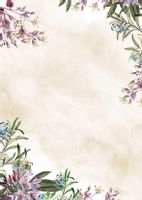 BARWNE ARKUSZE A4 50SZT UMBRIA 234410 GALERIA PAPIERU