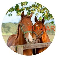 Opłatek na tort KONIE Koń Mustang Konik Kuc Urodziny Tekst Gratis