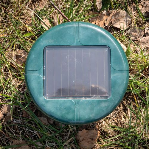 2X ODSTRASZACZ SOLARNY SILNY NA KRETY SZCZURY GRYZONIE KUNY DŹWIĘK na Arena.pl