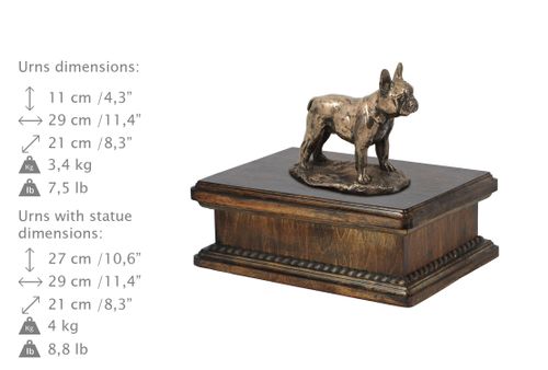 Buldog francuski- eksluzywna urna na Arena.pl