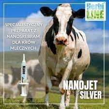 Nano Jet Silver 10 ml na Arena.pl