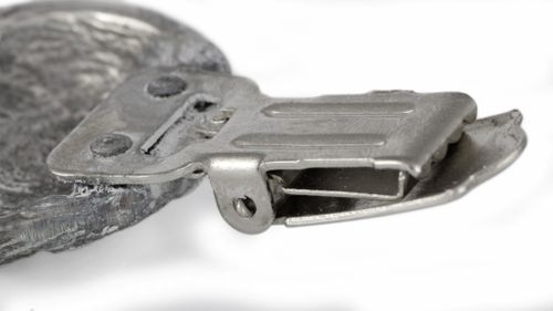 Norwich Terrier - klips - 689 na Arena.pl