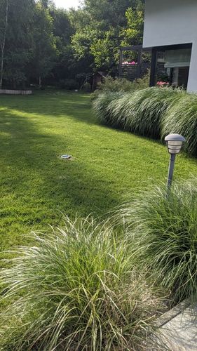 Trawa Nasiona Uniwersalna 5kg na Tereny Suche Trawnik 200m2 Mieszanka Traw na Arena.pl