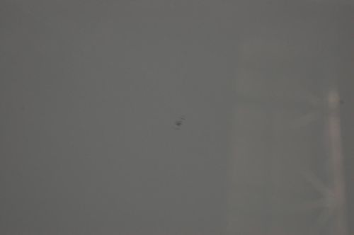 Stół Bristol Outlet na Arena.pl