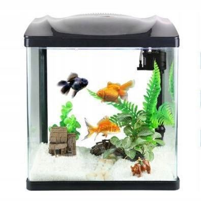 Małe Akwarium dla Bojownika HR-230 7L Zestaw z filtrem i Lampą LED 3 na Arena.pl