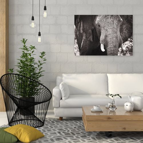 Obraz na płótnie – Canvas, czarno-biały słoń 90x60 na Arena.pl