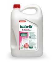 Płyn do mycia naczyń zapas malinowy _ 5L _ Ludwik