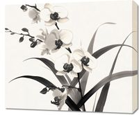 Obraz 70x60cm Orchidea