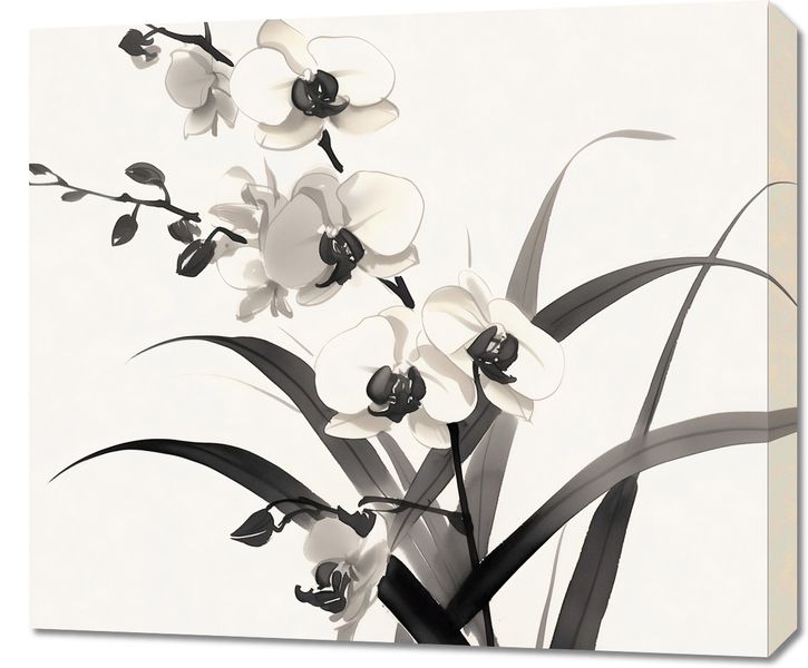 Obraz 70x60cm Orchidea zdjęcie 1