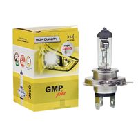 Żarówka H4 24V 75W 70W Actros Atego Daf Man Iveco Renault Scania Volvo