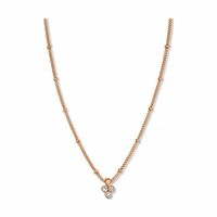 Naszyjnik Męski Rosefield JTNTRG-J443 40-45 cm