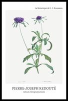 product-compare-59607804